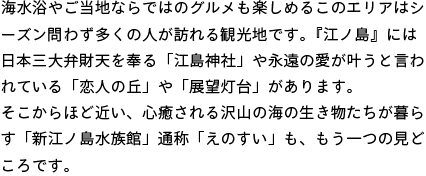 海水浴やご当地ならではのグルメも楽しめるこのエリアはシーズン問わず多くの人が訪れる観光地です。『江ノ島』には日本三大弁財天を奉る「江島神社」や永遠の愛が叶うと言われている「恋人の丘」や「展望灯台」があります。
そこからほど近い、心癒される沢山の海の生き物たちが暮らす「新江ノ島水族館」通称「えのすい」も、もう一つの見どころです。